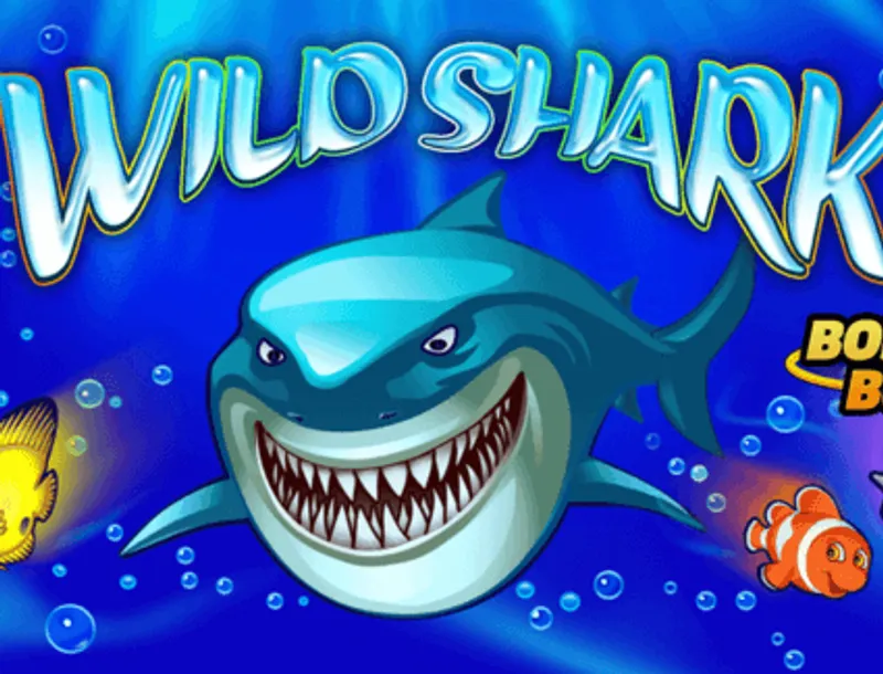Wild Shark Winnita Casino